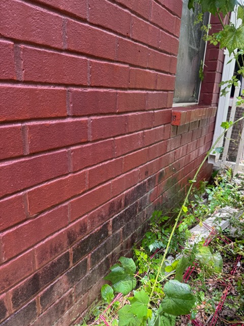 Before and after House Washing